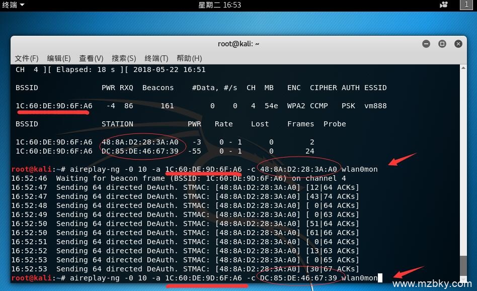 使用Kali Linux 暴力破解wifi密码详细步骤