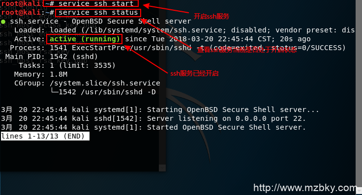 如何使用Xshell链接虚拟机里面的kali  linux