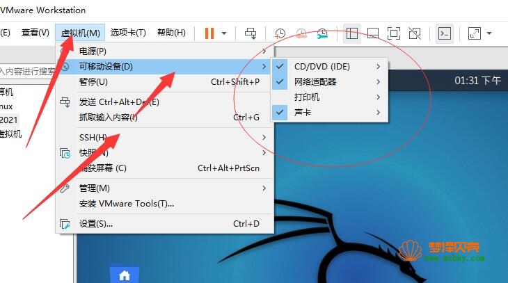 VMware Workstation虚拟机如何连接usb网卡