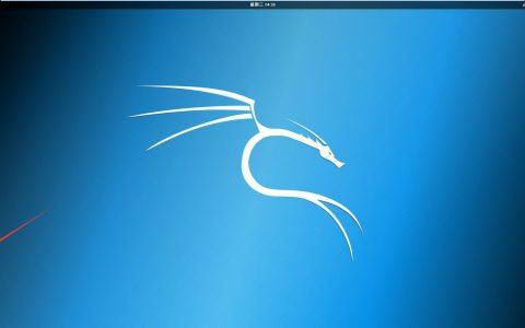 如何使用Xshell链接虚拟机里面的kali  linux