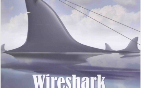 Wireshark网络分析就这么简单(完整扫描版).pdf