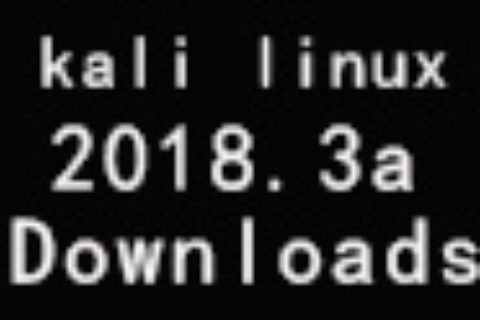 kali linux-2018.3a下载地址