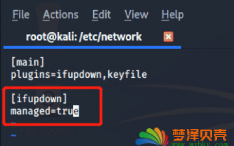kali linux device not managed 错误提示上不了网 解决方法