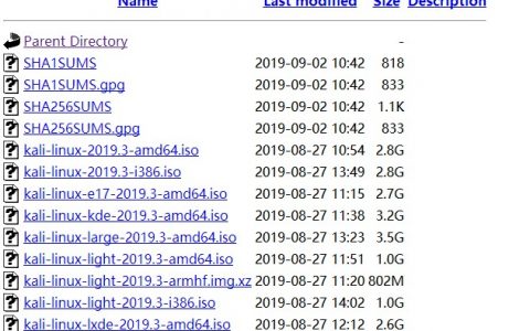 kali linux-2019.3下载地址