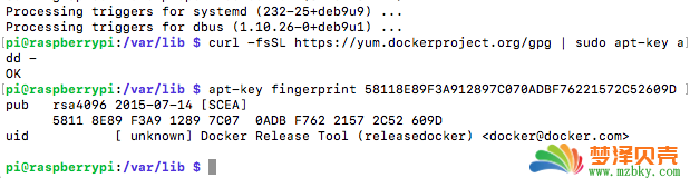 树莓派上 Docker 的安装和使用