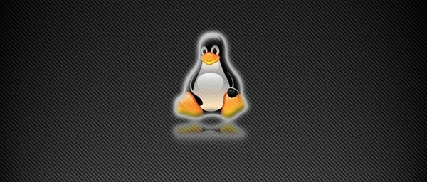 Linux环境变量配置全攻略